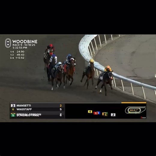 Woodbine Racetrack on Reels