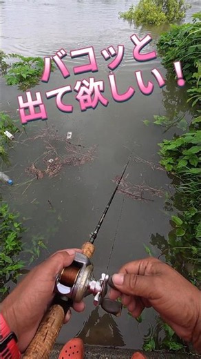 Water Levels Still Rising Afternoons as of 6/26/2026! Uji River Black Bass Fishing! #fishing #fis...
