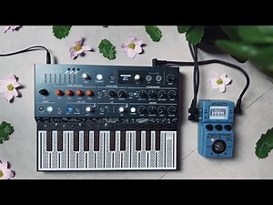 dewdrops • ambient jam { arturia microfreak + ms-70cdr }