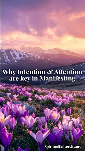 Why Intention, Focus & Attention are key in Manifesting