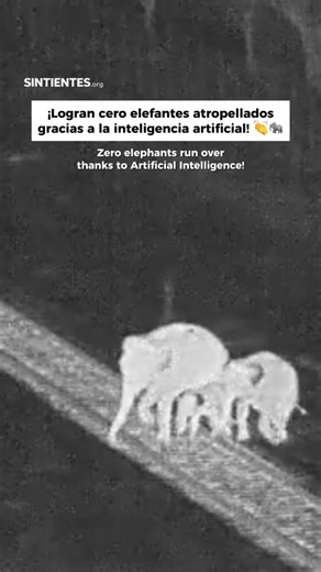 2.7K views · 72 reactions | El Departamento Forestal del estado indio...