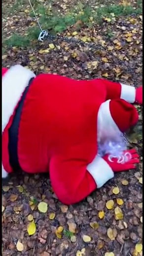 Zip line fail! #zipline #santaclaus #peoplefalling #ziplinefail