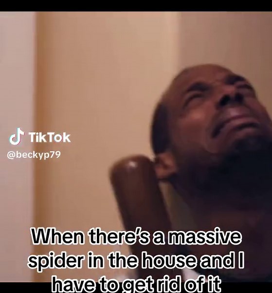 Hilarious Spider Memes to Make You Laugh