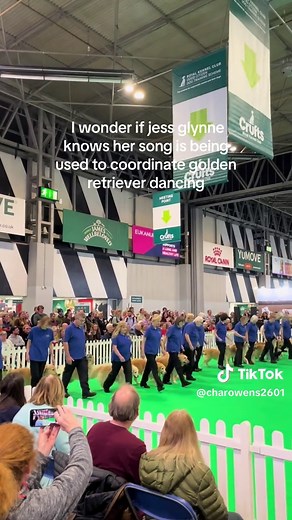 Golden Retrievers Steal the Show at Crufts 2023