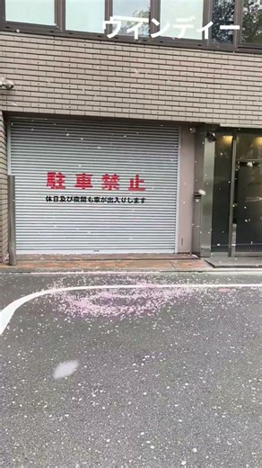 ウィンディー