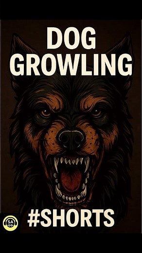 🐶 Dog Growling Sound Effect #Shorts