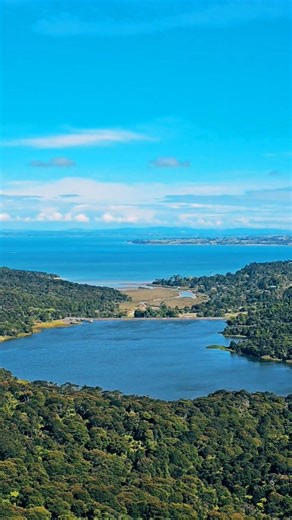 Stunning views across Auckland from the Waitakere Ranges 😱 #shorts #nature #newzealand #explore