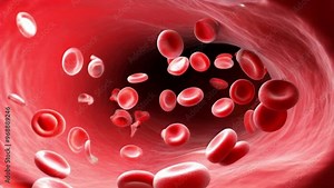 Simulation of red blood cell movement through vein