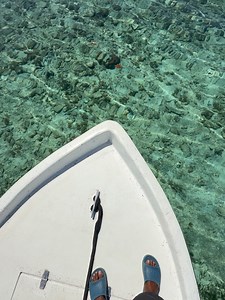 Emmanuel Williams on Reels