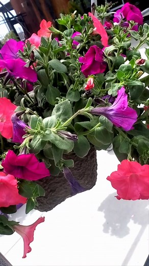 1.9K views · 28 reactions | Spring is a-may-zing and the perfect time to tackle outdoor projects! #dbsupply #spring | D & B Supply | Facebook