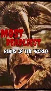 MOST DEADLIEST BIRDS IN THE WORLD #shorts