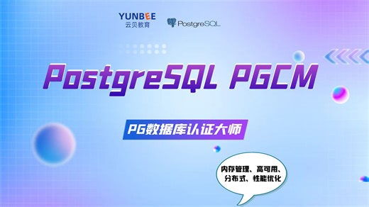 04.加密选项-PostgreSQL数据库PGCM认证