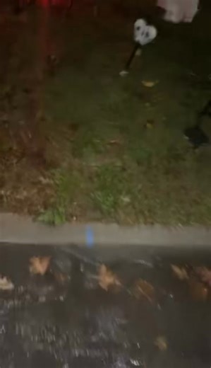 My Nguyen on Reels | Facebook