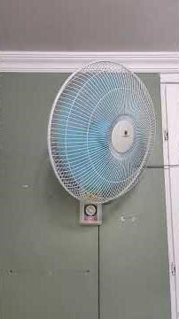 Standard SWF 16M Oscillation| The PVZBloverFan ™