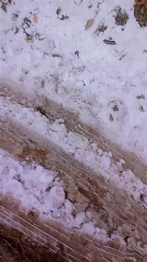 Malik 🆒 (@malik09797)’s videos with original sound - 𝐀𝐦𝐚𝐚𝐧 𝐑𝐚𝐣𝐩𝐨𝐨𝐭