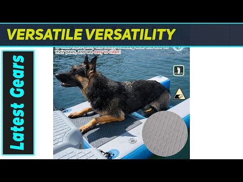 Amazing Inflatable Dog Ramp Pool: Summer Fun SAVED!