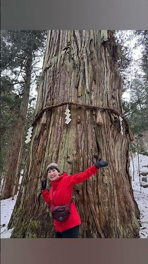 【午年のご利益】出羽三山 羽黒山へ。今年お参りすると12年分のご利益があるそうです。雪深く、とてもいい場所でした。