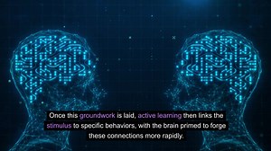 36 reactions · 11 shares | Discover how passive exposure, alongside active practice, can significantly enhance the learning process. This video delves into groundbreaking research from the University of Oregon, revealing the power of passive exposure in accelerating skill acquisition. Understand the science behind this phenomenon and how it can be applied to everyday learning, from language acquisition to musical training. | Neuroscience News | Facebook