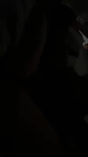 Boxer Lover ❤️ | Boxerdog 😍 Credit joise.the.boxer tik tok has no trouble . . . . . . . . . . . #boxer #boxersofinstagram #boxerdog #boxers #boxergram .... | Instagram