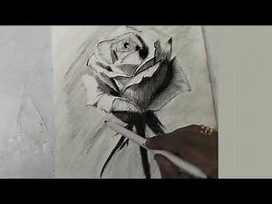 How to Draw a Realistic Rose | Step-by-Step Pencil Drawing Tutorial for Beginners (Day 4)