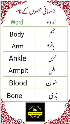 Urdu to English Learning/Daily use English sentences/Urdu to English sentences/Learn English shorts
