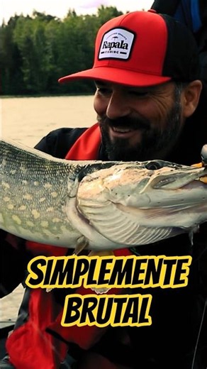 HUGE FISH SPINNING in FINLAND #fishing #fishing #rapala