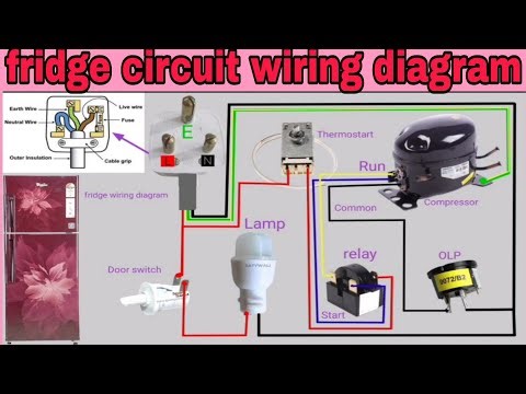 Fridge Wiring Diagram / Refrigeratorwiring connection #wiring #electrical