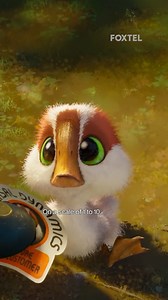 11K views · 77 reactions | This gosling wants to play. New movie, The Wild Robot, watch on demand on Foxtel. #TheWildRobot #KitConnor #PedroPascal #MarkHamill #MattBerry #Foxtel | Foxtel | Facebook