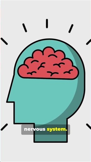 THE COLOR THAT CHANGES YOUR MOOD — The Hidden Science