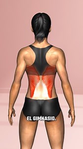 Rutina para Espalda SIN ROLLITOS y brazos definidos en el gimnasio. ✅ Incluimos sólo los mejores ejercicios. #espalda #brazos #gymworkout #entrenamiento #gimnasio | EresFitness