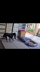 Happy 4th Birthday | Lynne Rogerson