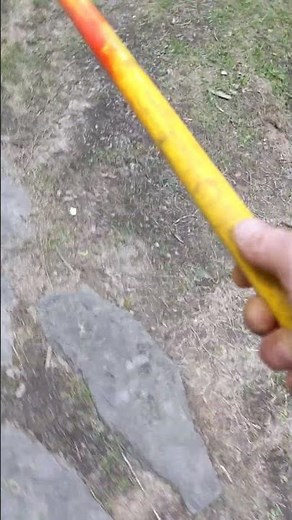 Agkistrodon piscivorus - Evicting the Ultimate Pool Squatter Cottonmouth