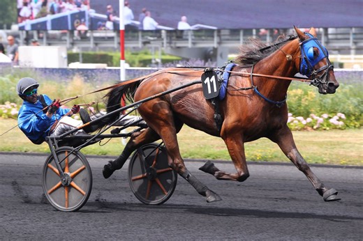 Quinté  du 30/11/2025 à Vincennes : Horchestro en base de jeu | ParisTurf