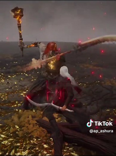 Elden Ring: Radagon of the Golden Order No Hit Guide