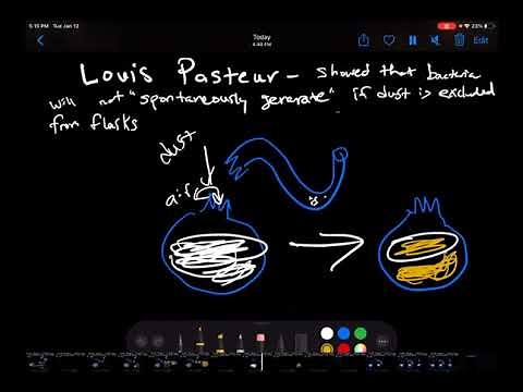 Louis Pasteur and disproving spontaneous generation