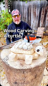 Wood Carving a Turtle. Follow along and learn how to chainsaw carve a turtle. This particular turtle is a tortoise or a land turtle . We will be carving from a half wood log about 2 foot long by a foot and a half wide. Using a battery Stihl chainsaw and Manpa eyeball bit. To create this cute turtle. #turtle #woodcarvingtutorial #chainsawcarving #WoodArt #WoodCarvingTips | Roger Davidson