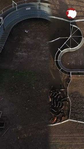 Tecnología que fluye, resultados que se notan. 🚜🐄