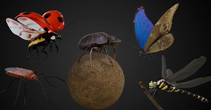 Animated Insect Pack For Blender Offers 5 Insects & Animations