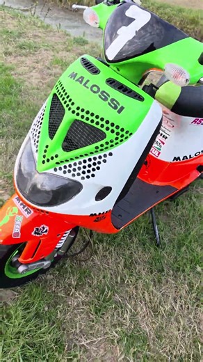 Piaggio Zip Sp 172 Malossi 360°