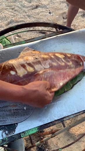 6.5K views · 23 reactions | 撚 fins removal after grilled  #fbviralpost2025 #trendingreelsvideo #seafoodlovers #viral #unique #squid @highlight | Jon Pigon | Facebook