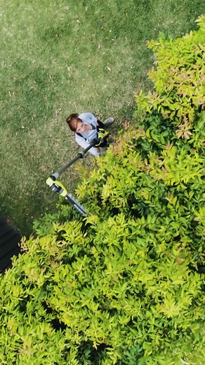 3.5K views · 32 reactions | Trim tall hedges with ease using the RYOBI 18V ONE+ Pole Hedge Trimmer Providing a safer alternative then using a traditional Hedge Trimmer with a ladder. Learn more about your next RYOBI tool today through our website. #RYOBIau #batterypowered #RYOBIpowertools #RYOBImade #HedgeTrimmer | RYOBI Australia | Facebook