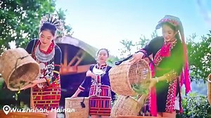 Let’s go picking the intoxicating #spring #tea in #Hainan’s #Wuzhishan and savor the flavor of #nature! | Hainan Touch