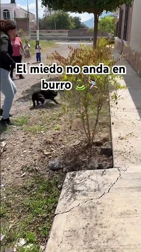 Pero hay andan de mironas 👀🐍🏃🏻‍♀️