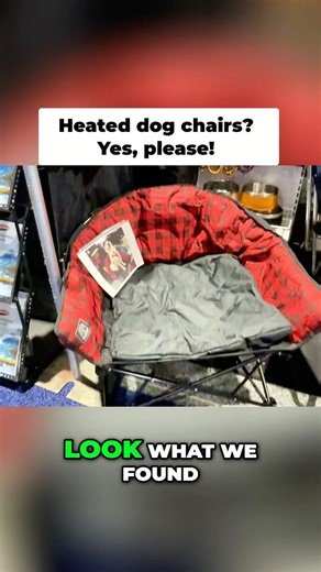 Ultimate Comfort Found! These chairs are legit ~ #rvliving #shorts #dogfriendly #outdoorgear