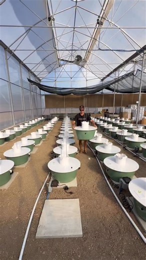 Vertical farm set up. | BEEF Agriculture