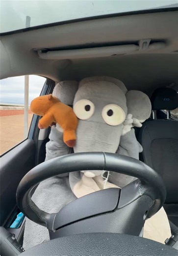 Tim Cheese (@bigbackedrats)’s video of i just want a capybara