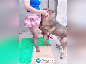 Chinese Woman Dog Fuck 1