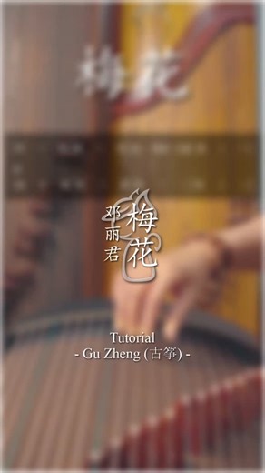 Erwin G Walker on Instagram: "Mei Hua (梅花) Guzheng Tutorial #古筝 #guzhengtutorial"