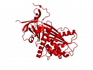 Micro-clotting in Long COVID — covidCAREgroup