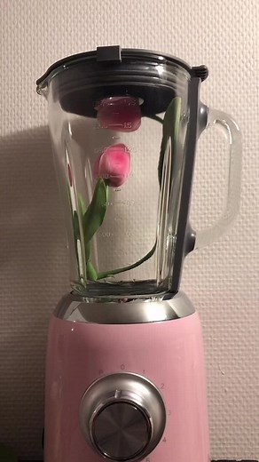 j’ai acheté un blender sur le bon coin et il fonctionne pas alors c’est devenu un vase